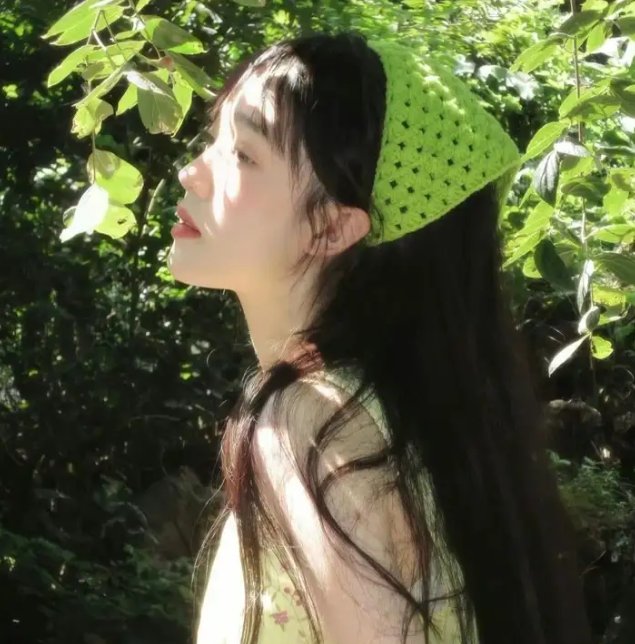 神秘的旅伴